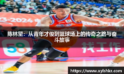 新葡萄8883官网amg