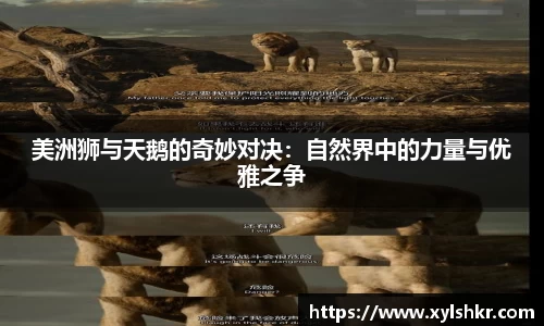 美洲狮与天鹅的奇妙对决：自然界中的力量与优雅之争